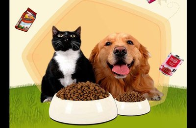 寵物零食 | 小可愛的飲食問題不容輕視 寵物食品