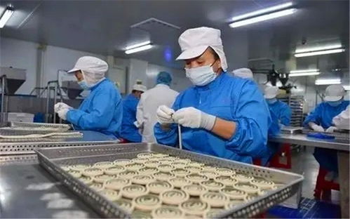 在小縣城投入20萬(wàn)辦廠 聚焦寵物食品，掘金藍(lán)海市場(chǎng)的快車道