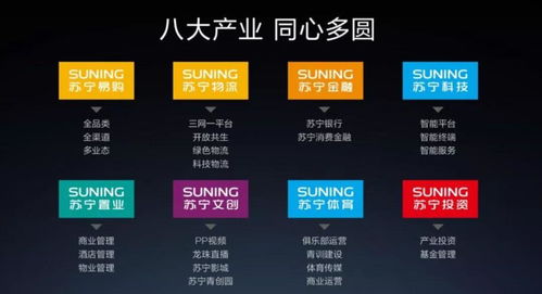 蘇寧易購(gòu)復(fù)牌漲停的背后 物流與技術(shù)驅(qū)動(dòng)的危機(jī)應(yīng)對(duì)與未來(lái)挑戰(zhàn)